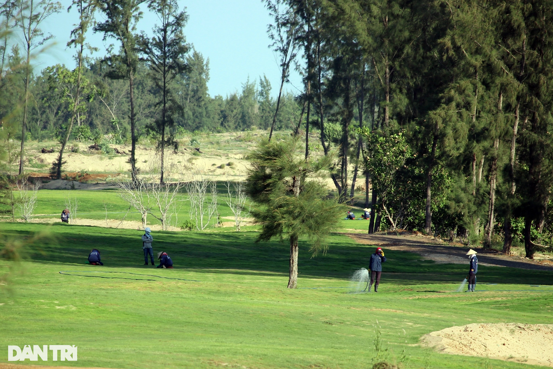 Dự án từng phá 40ha rừng phòng hộ ven biển để làm sân golf giờ ra sao? - 6 Dự án từng phá 40ha rừng phòng hộ ven biển để làm sân golf giờ ra sao? - 6