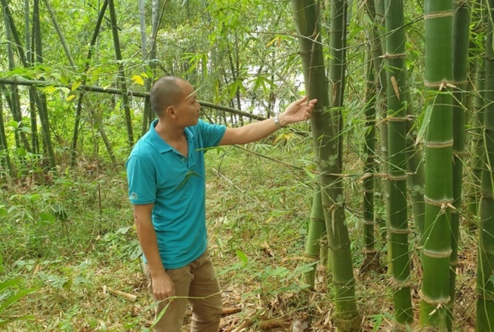 Thanh Hóa: Thu nhập của người lao động ngày một tăng - 2 Thanh Hóa: Thu nhập của người lao động ngày một tăng - 2