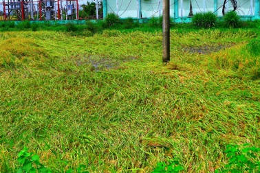 Bão “đi xa” hơn một năm, 78 hộ dân vẫn đi kiện tiền hỗ trợ