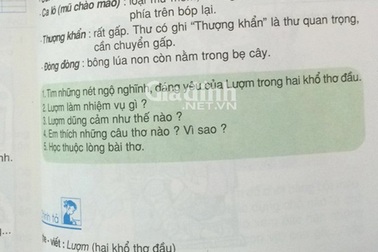 Thêm sai sót nghiêm trọng trong sách Tiếng Việt lớp 2