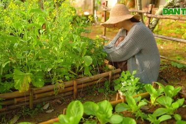 Vợ chồng trẻ "bỏ phố về quê": Qua ngày "vỡ mộng" mới thu được thành quả
