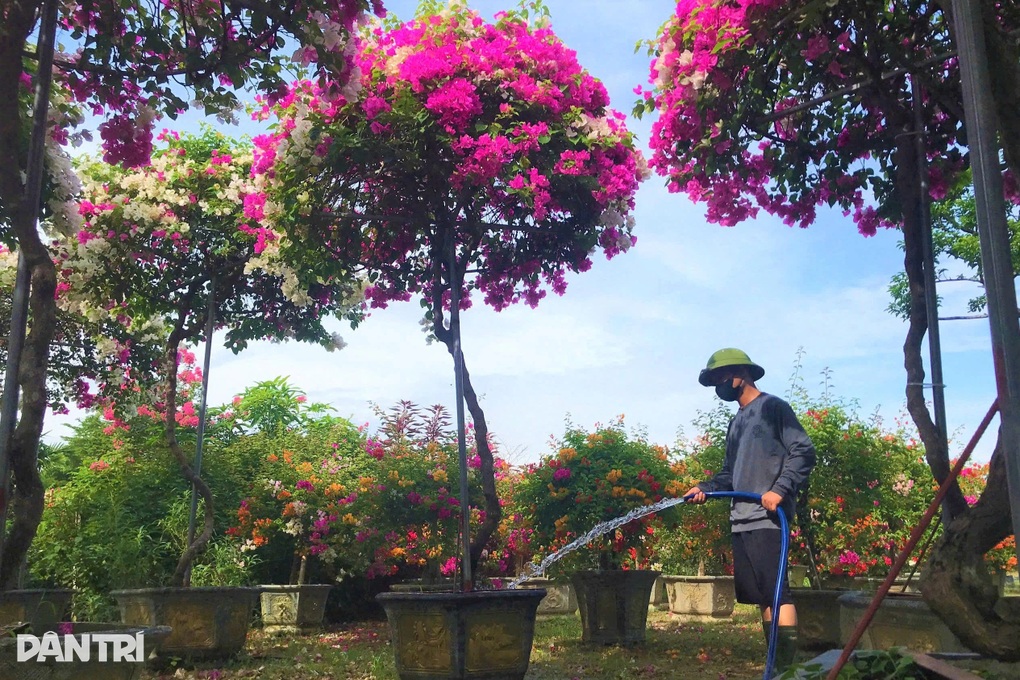 Từ vùng quê ven đô đến những triệu phú làng hoa - 2 Từ vùng quê ven đô đến những triệu phú làng hoa - 2