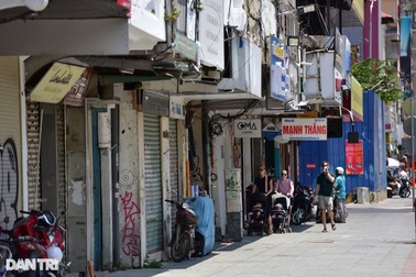 TPHCM: Sẽ trồng lại cây xanh trước khi làm mái che vỉa hè đường Lê Lợi