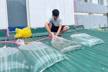 Ba người bị điện giật khi bơm nước vào túi bóng chặn mái tôn chống bão