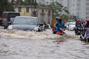 Chuyên gia nói gì về công khai ô tô bị ngập nước?