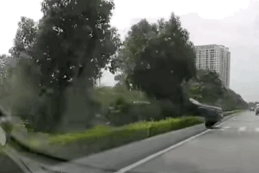 Xe bán tải sang đường bằng lối dành cho... người đi bộ