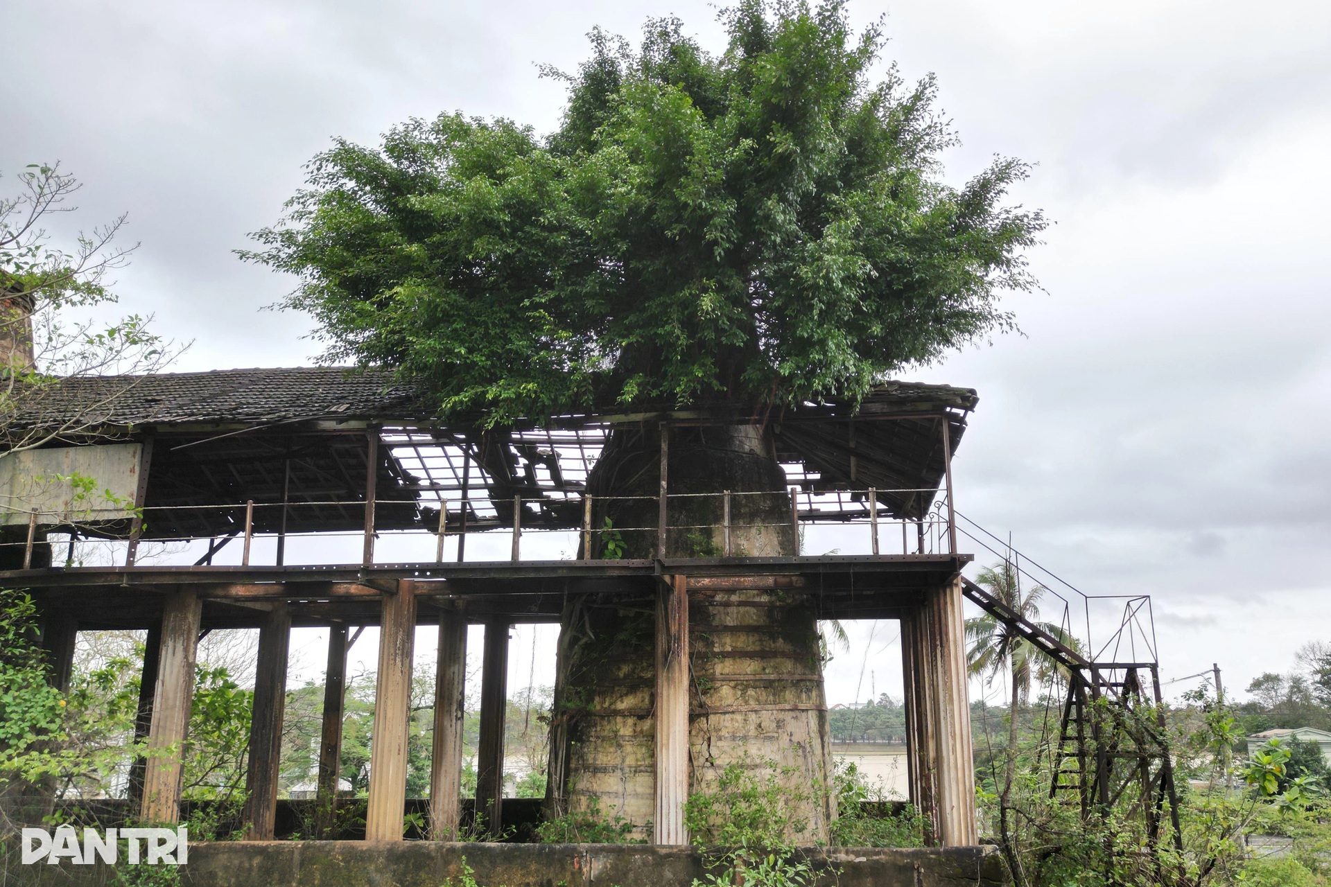 5 lò vôi gần 130 năm tuổi rệu rã, chực chờ sụp đổ - 5 5 lò vôi gần 130 năm tuổi rệu rã, chực chờ sụp đổ - 5