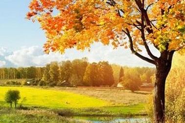 Mang mùa thu lãng mạn lên Windows với bộ sưu tập hình nền tuyệt đẹp