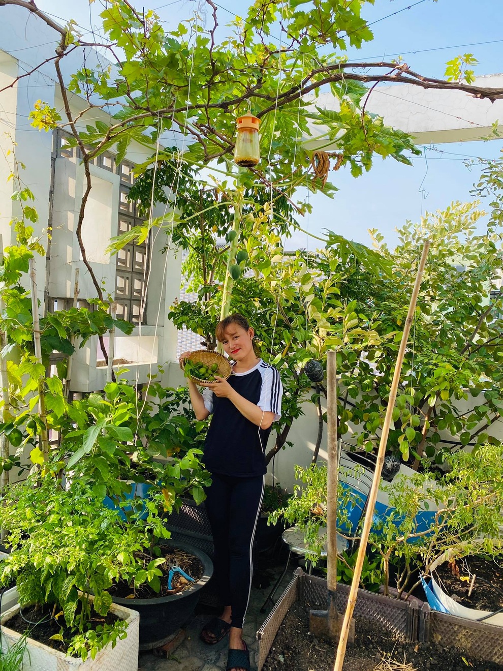 Vợ chồng tại TPHCM biến nóc nhà thành siêu thị nông sản ngập rau trái - 1