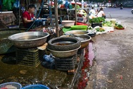 Nước thải hàng cá, hàng gà đến tiệm rửa xe - ám ảnh ô nhiễm từ cống ra sông