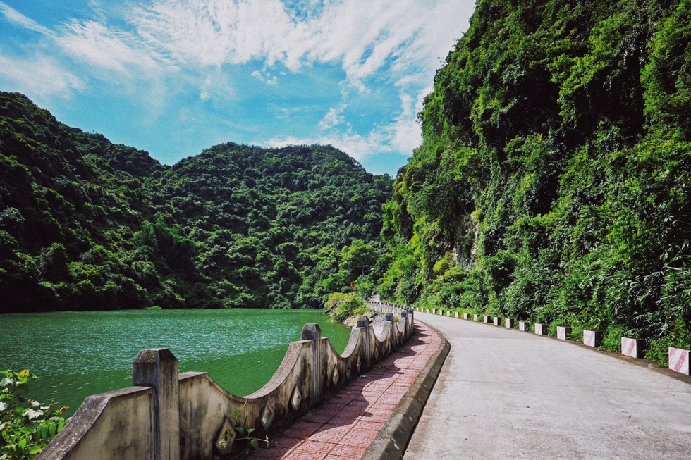 Cung đường trekking dài 9km vào rừng nguyên sinh đẹp bình yên ở Hải Phòng - 7 Cung đường trekking dài 9km vào rừng nguyên sinh đẹp bình yên ở Hải Phòng - 7