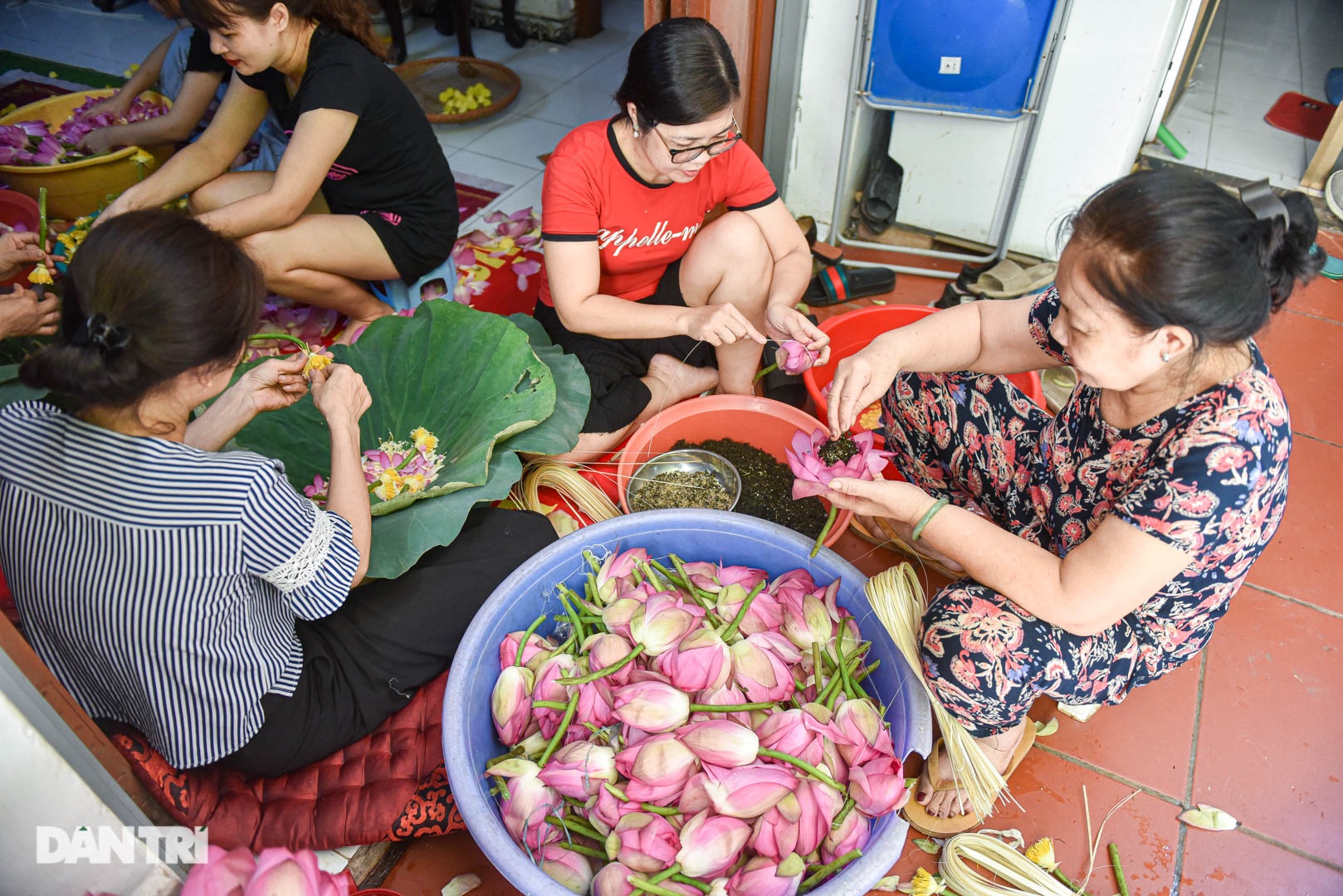 Gia đình Hà Nội 7 thập kỷ làm thứ trà hảo hạng, giá chục triệu/kg - 2 Gia đình Hà Nội 7 thập kỷ làm thứ trà hảo hạng, giá chục triệu/kg - 2