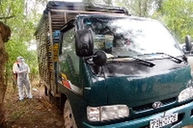 Quảng Bình: Bác bỏ tin đồn tái phát dịch cúm gia cầm