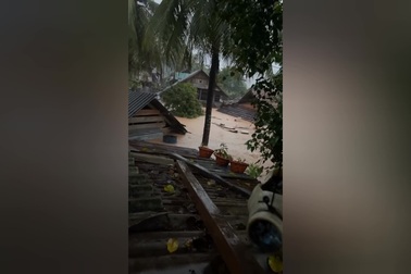 Lũ dâng cao gần nóc nhà người dân ở Nghệ An