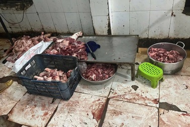 Phát hiện cơ sở giết mổ heo trái phép, sơ chế thịt không rõ nguồn gốc