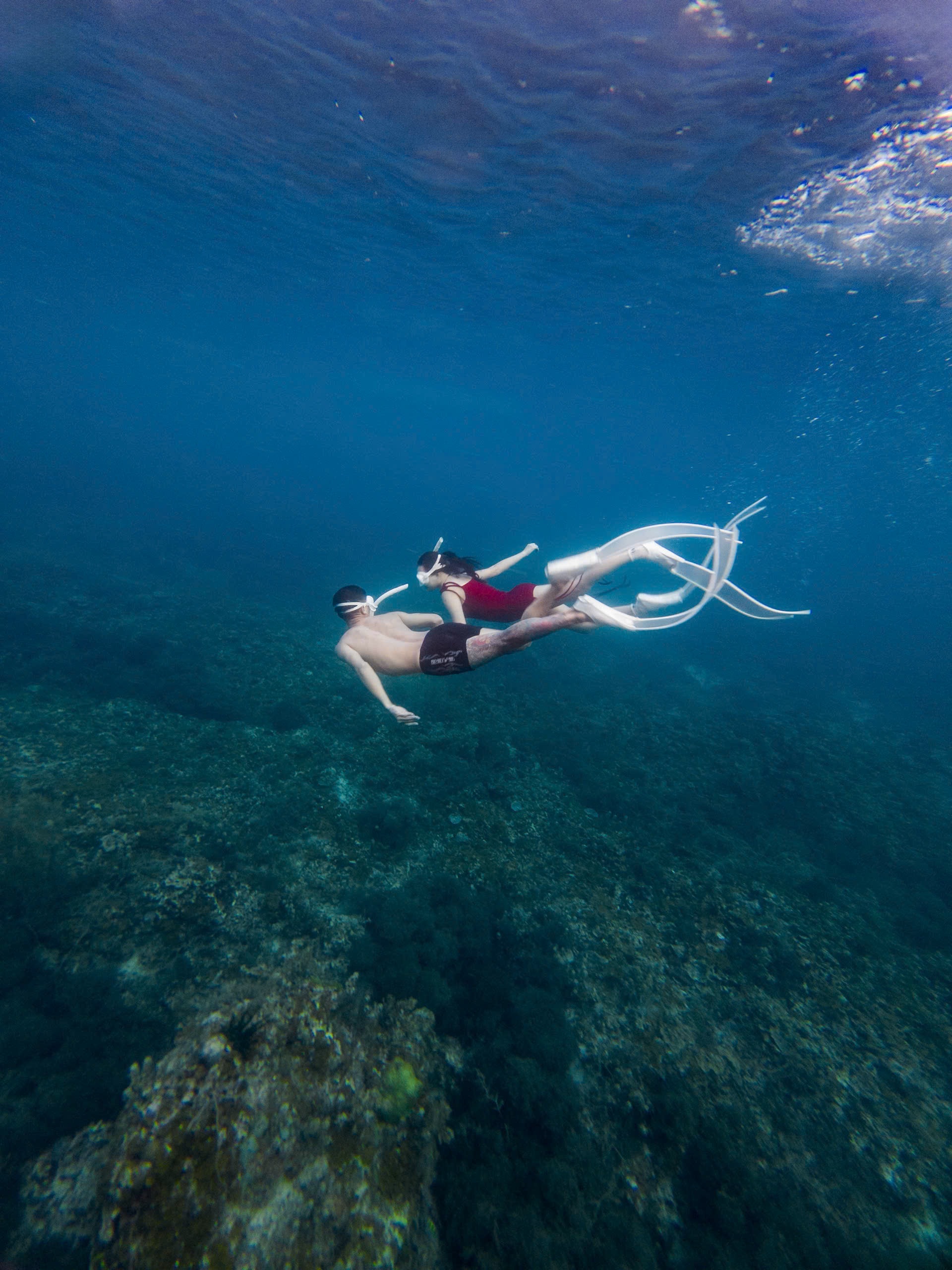 Không cần đi Maldives, khách đổ dồn về Phú Quý lặn biển vì đẹp siêu thực - 11