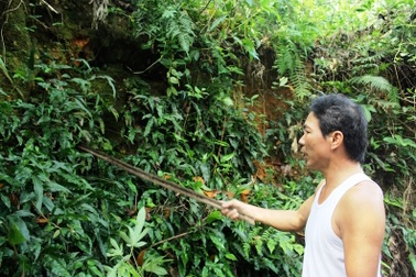 Bí ẩn hầm cổ chứa đầy vàng dưới chân núi Trà Trâu