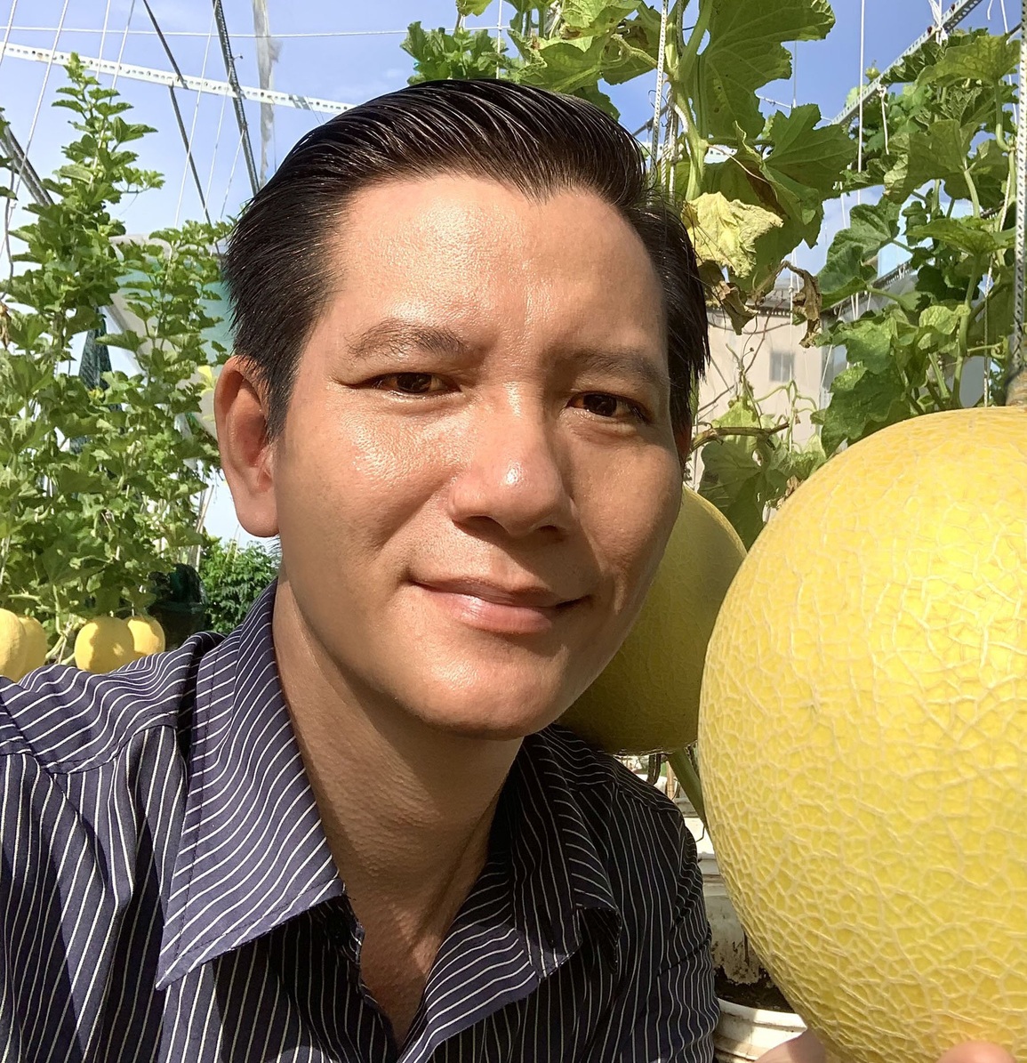 Vườn dưa lưới sai lúc lỉu, thu hoạch cả tạ dưa mỗi năm của ông bố ở TPHCM - 1 Vườn dưa lưới sai lúc lỉu, thu hoạch cả tạ dưa mỗi năm của ông bố ở TPHCM - 1