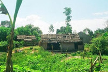 Sự túng quẫn của người dân mất đất