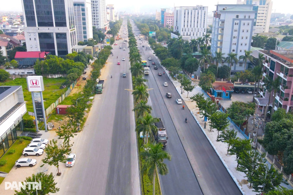 Hàng trăm cây cau vua ở thành phố Vinh bị chặt bỏ - 1 Hàng trăm cây cau vua ở thành phố Vinh bị chặt bỏ - 1