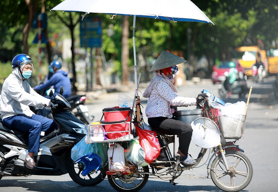 Hà Nội nắng như chảo lửa, lái xe ngụy trang cành lá lên người để giải nhiệt - 7 Hà Nội nắng như chảo lửa, lái xe ngụy trang cành lá lên người để giải nhiệt - 7