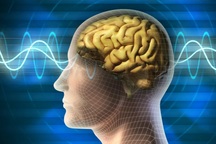 Não biến đổi ra sao sau 3 ngày bạn không nói chuyện với ai?