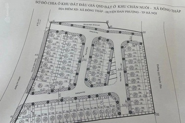 Vụ đấu giá đất nhiều sai phạm ở Hà Nội bị phát giác như thế nào?