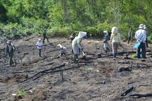 Căng thẳng chiếm đất rừng giáp ranh Gia Lai - Bình Định