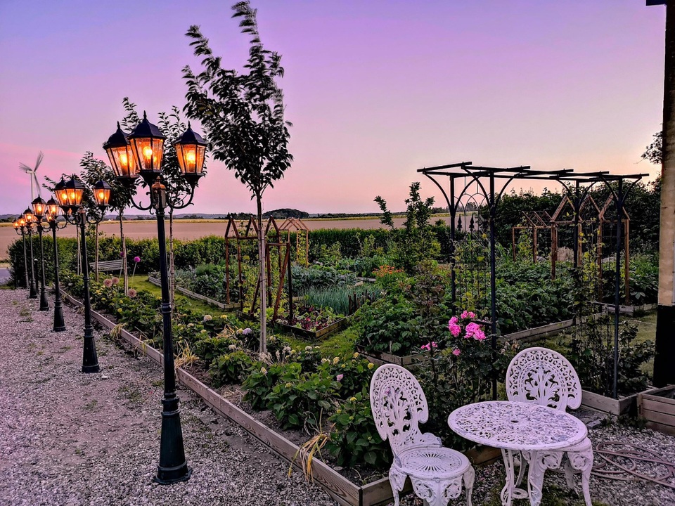 Cuộc sống mơ ước của đôi bạn thân rủ nhau về quê trồng rau, nuôi gà - 2