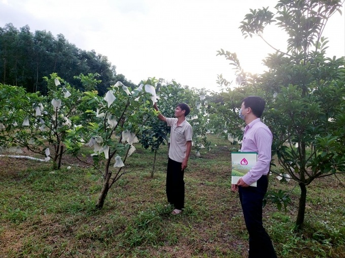 Những mô hình sinh kế được tạo dựng từ nguồn Quỹ quốc gia về việc làm và các nguồn tín dụng ưu đãi tạo việc làm khác tại Thừa Thiên Huế