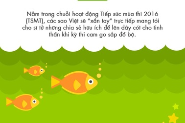 Bí quyết giúp sao Việt vượt "vũ môn"
