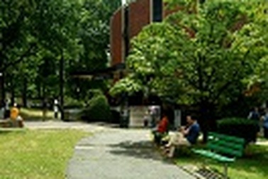 Học bổng bán phần tại Trường cao đẳng Felician - Mỹ