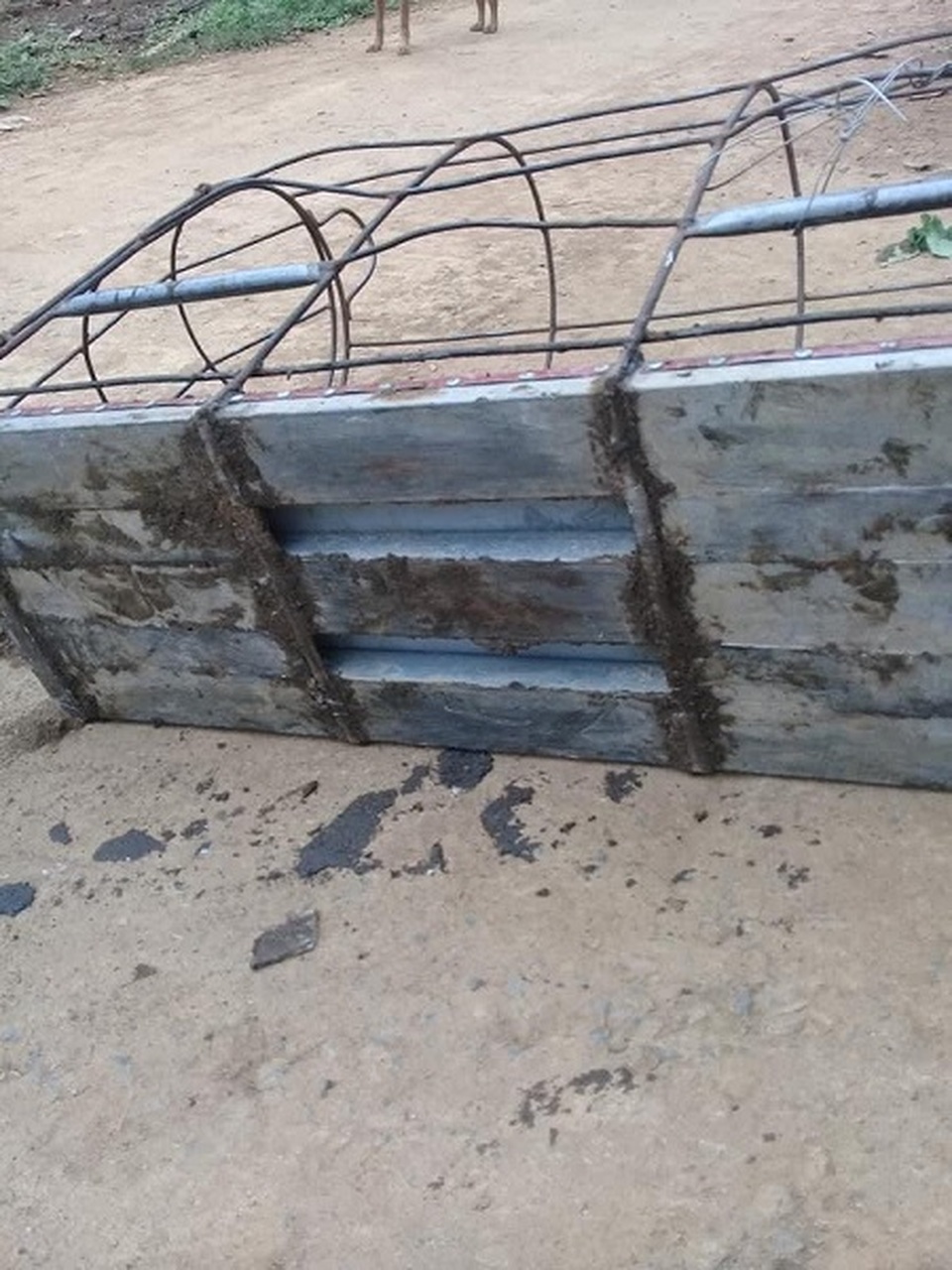 Chỉ cần một động tác nhỏ, thương lái ăn không cả triệu đồng/con lợn của dân - 1 Chỉ cần một động tác nhỏ, thương lái ăn không cả triệu đồng/con lợn của dân - 1