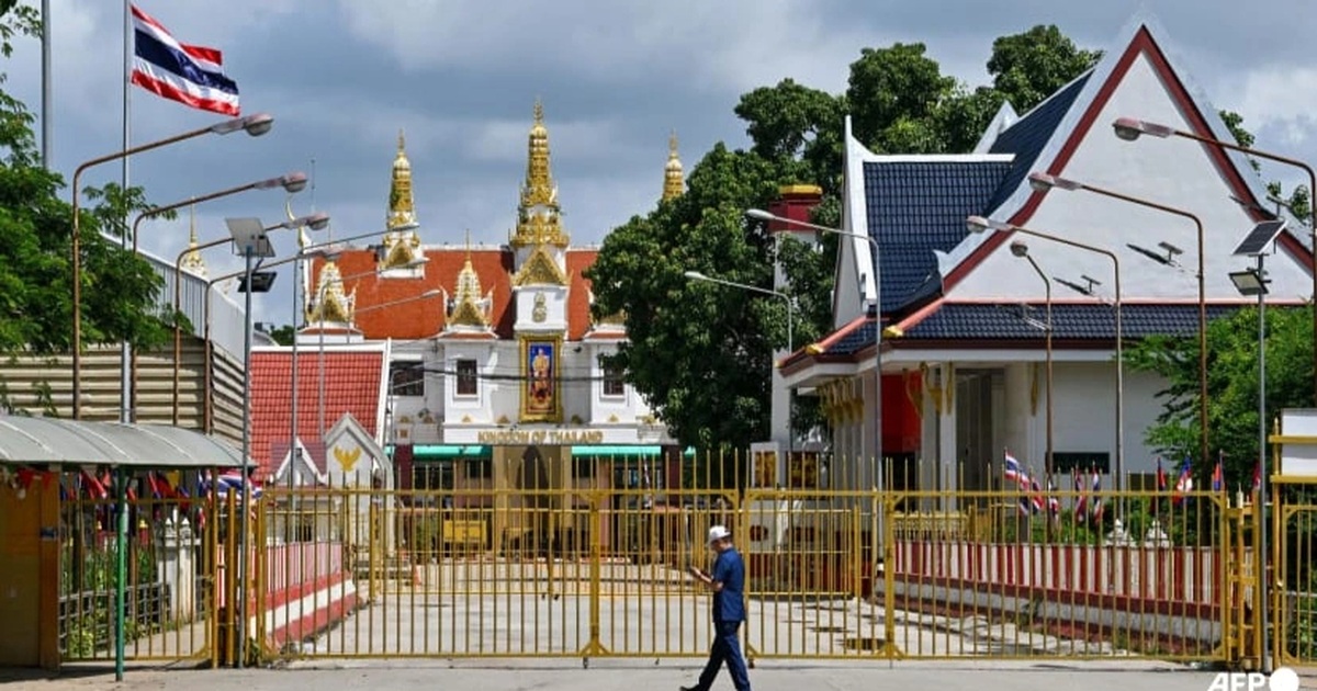 dantri.com.vn