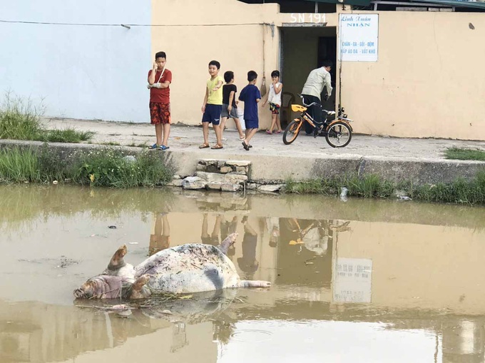 Kinh hoàng Kênh dẫn nước sinh hoạt cấp cho người dân Thanh Hóa bị ô nhiễm nghiêm trọng - Ảnh 1.