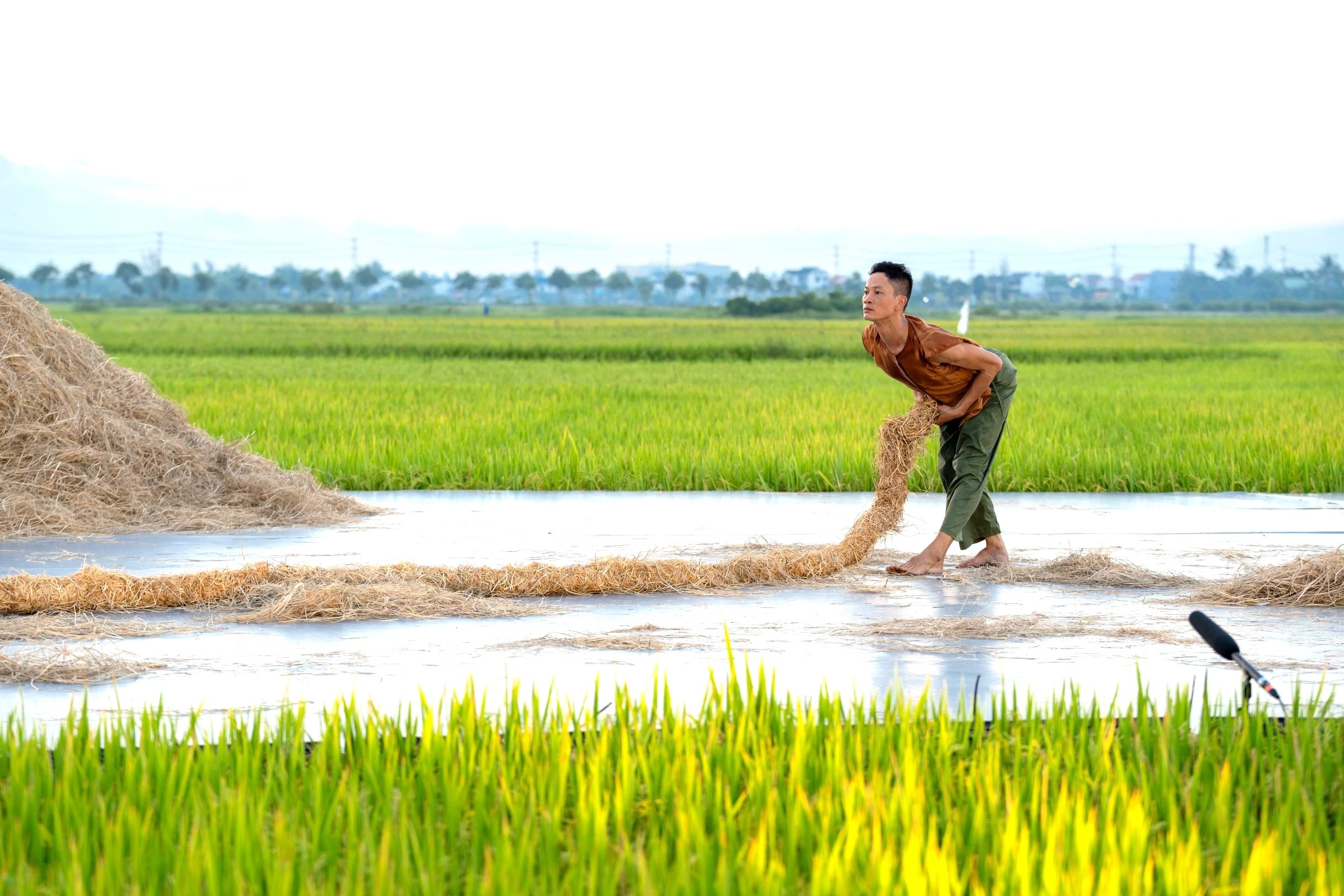 View - Múa đương đại giữa cánh đồng lúa chín vàng Hội An | Báo Dân trí