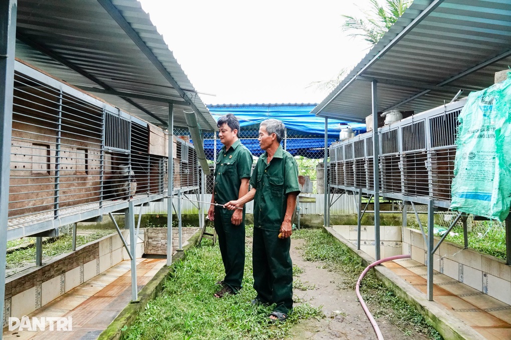 Cựu chiến binh kiếm 200 triệu đồng/năm nhờ nuôi con ngủ ngày, mê trái cây - 1