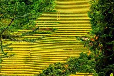 Đi tìm hương sắc tháng Năm