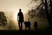 Trung Quốc: Tuyển cử nhân dắt chó gây phẫn nộ dư luận