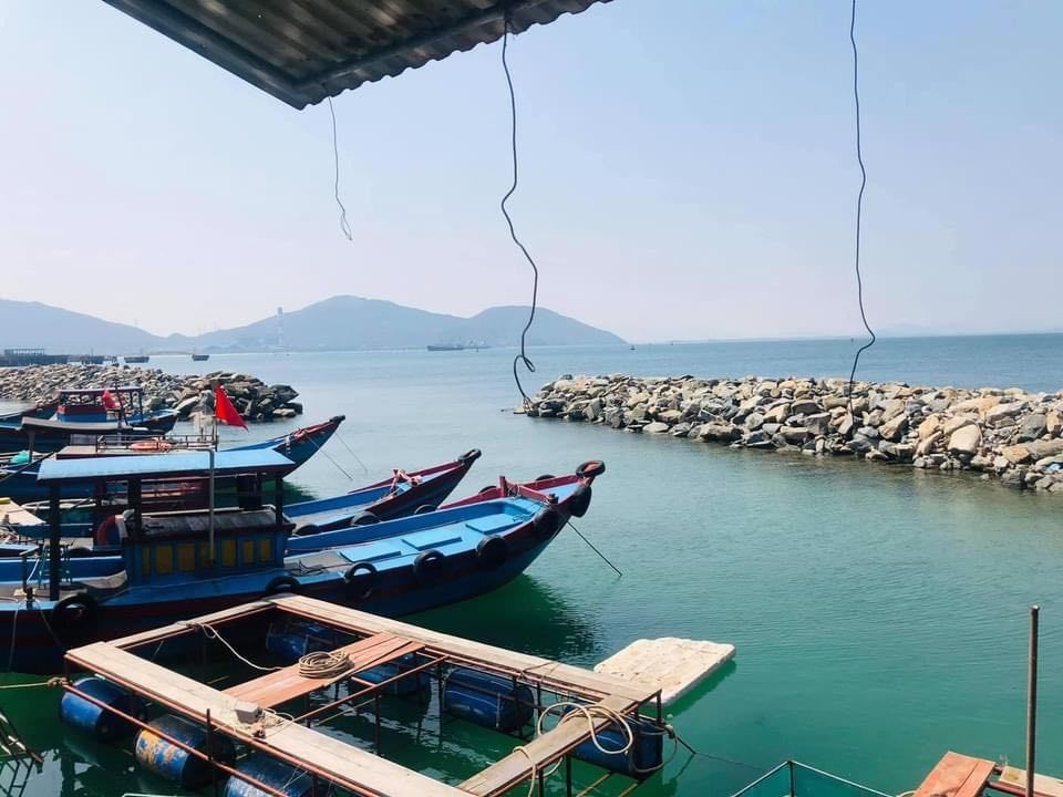 Con nhảy tanh tách, tiền triệu mỗi kg vẫn không có để bán - 2