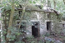 Mua nhà cũ tồi tàn, người phụ nữ không ngờ 20 năm sau tăng giá hơn 7000 lần