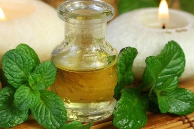 Cách đuổi muỗi đơn giản phòng sốt xuất huyết không cần thuốc xịt