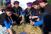 Nhiều nghệ nhân tham gia Festival Thực hành tín ngưỡng thờ Mẫu Thượng ngàn