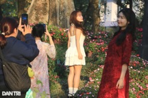 Lạc vào chốn thiền môn, đồi hoa xứ Huế