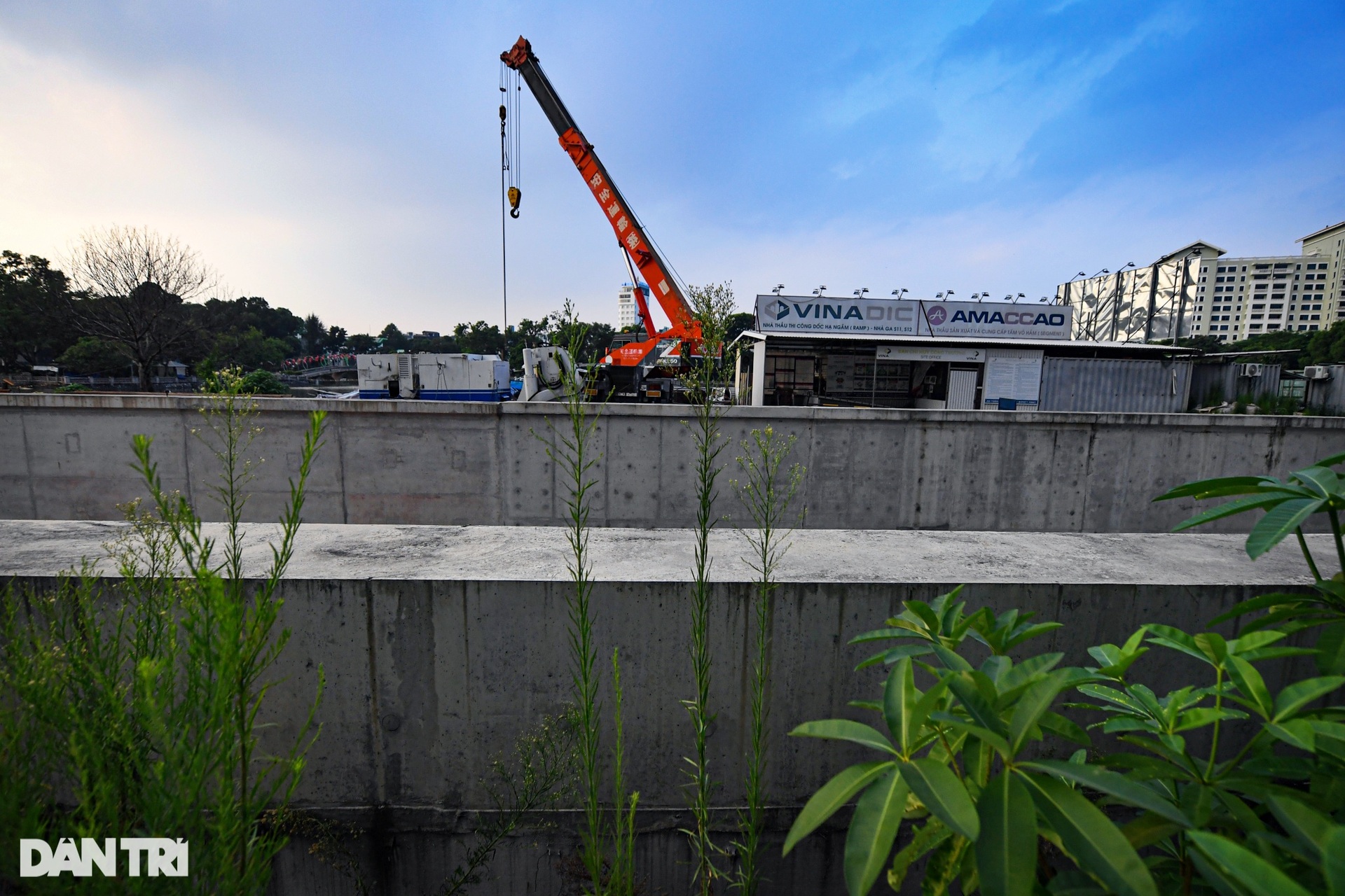 Cỏ cây mọc um tùm trên đại công trường dự án metro Nhổn - ga Hà Nội - 14 Cỏ cây mọc um tùm trên đại công trường dự án metro Nhổn - ga Hà Nội - 14
