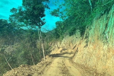 Đề nghị chuyển vụ phá rừng làm đường đến Cơ quan điều tra Bộ Quốc Phòng