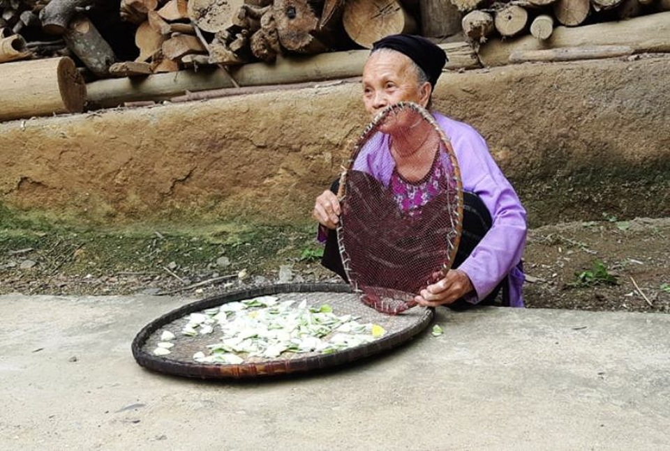 Trên 2 vạn người dân ở huyện biên giới Nghệ An cần gạo cứu đói - 6 Trên 2 vạn người dân ở huyện biên giới Nghệ An cần gạo cứu đói - 6