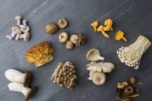 Ăn 2 cây nấm mỗi ngày giúp giảm 45% nguy cơ mắc ung thư