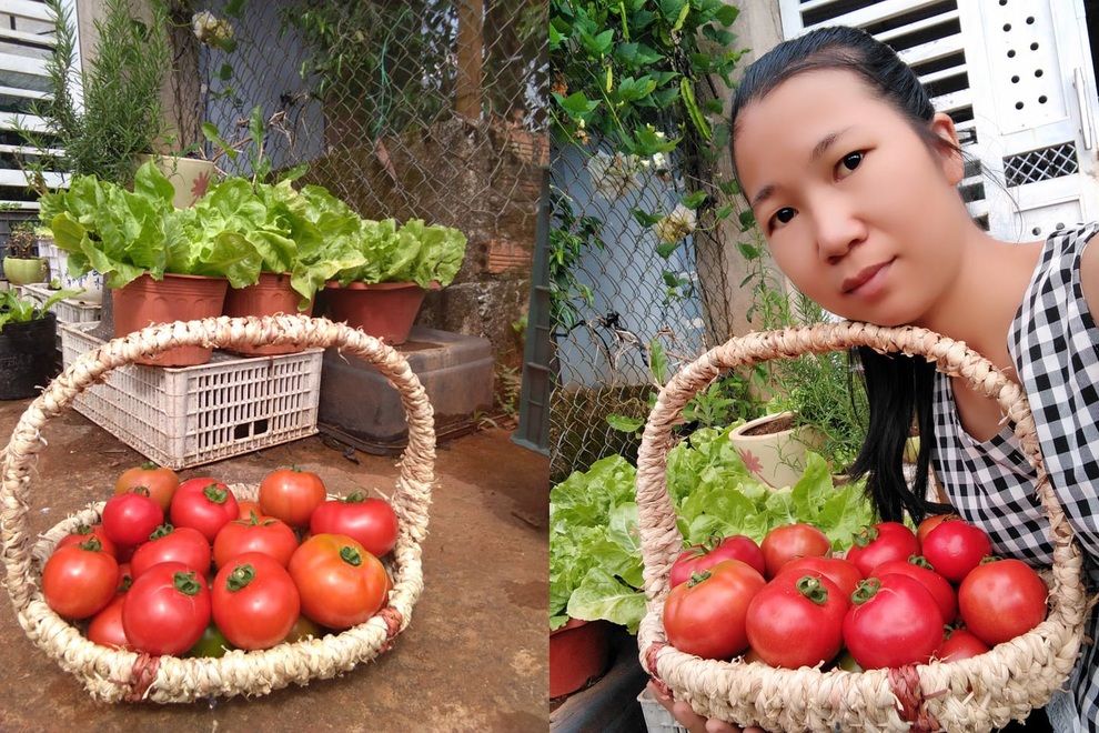 Vườn dược liệu chữa bệnh cho gia đình của mẹ đảm Đắk Nông - 1 Vườn dược liệu chữa bệnh cho gia đình của mẹ đảm Đắk Nông - 1