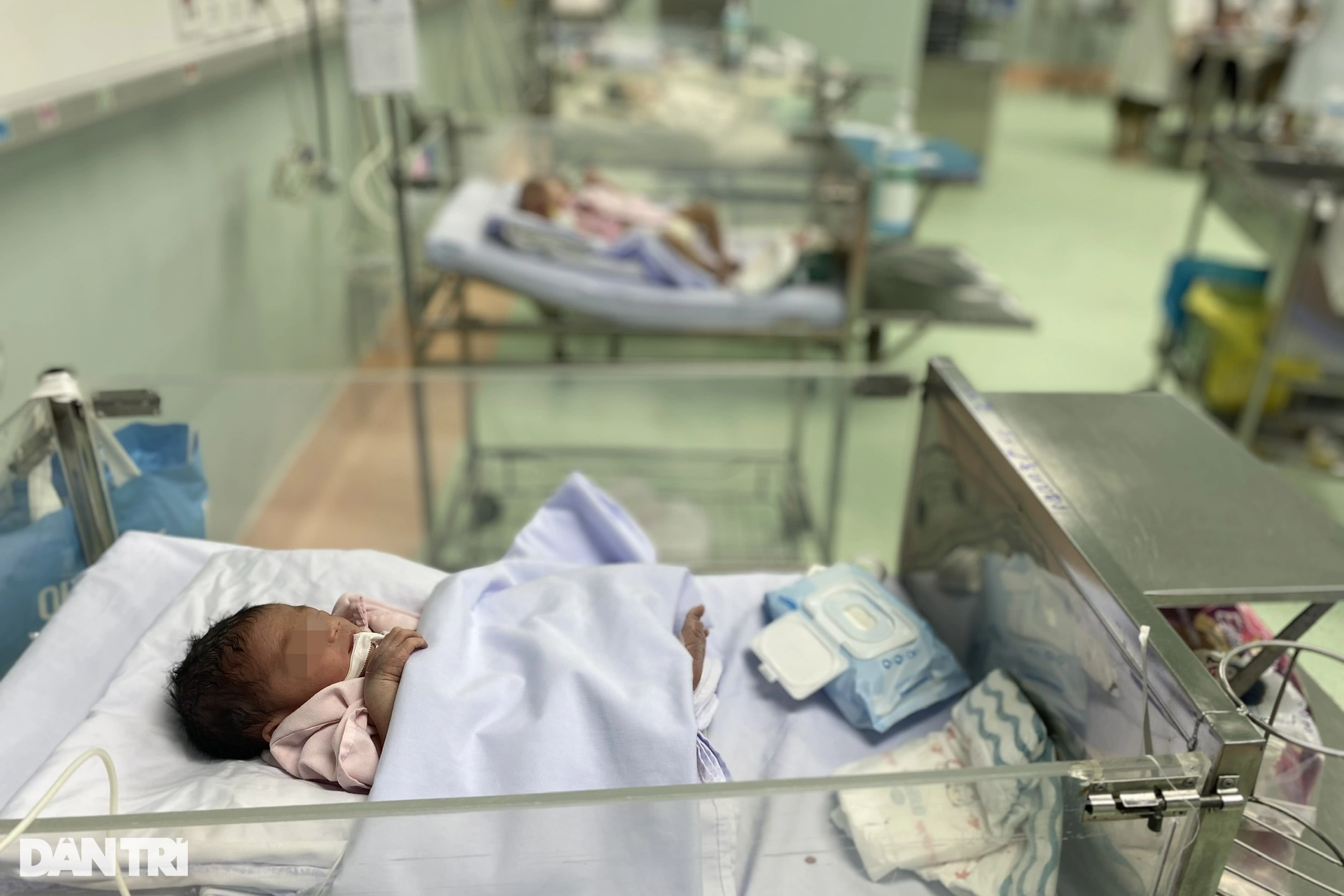 Mẹ góp từng đồng tìm nguồn sữa xuyên biên giới níu mạng con - 12 Mẹ góp từng đồng tìm nguồn sữa xuyên biên giới níu mạng con - 12